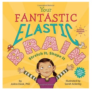 Your Fantastic Elastic Brain