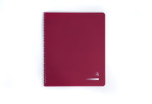 Seeing My Time Adult Planner System and Mini-Course for adults needing executive function support and who have ADD