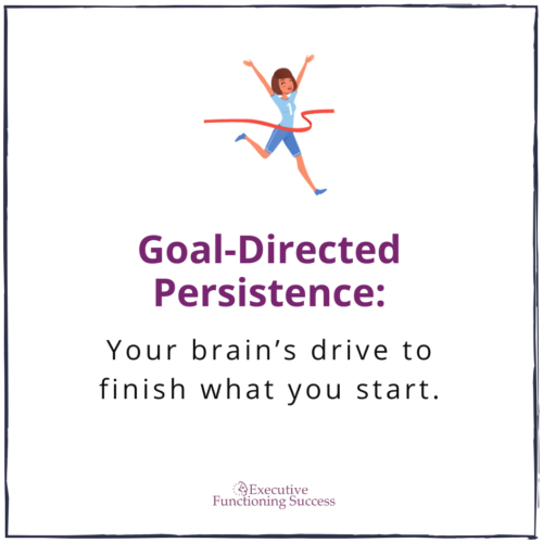 Definition of Goal Directed Persistence