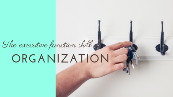 The executive function skill of organization