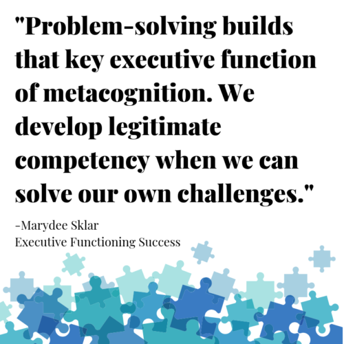Problem-solving builds executive function