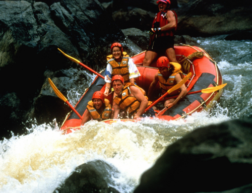 White water rafting for executive functions analogy