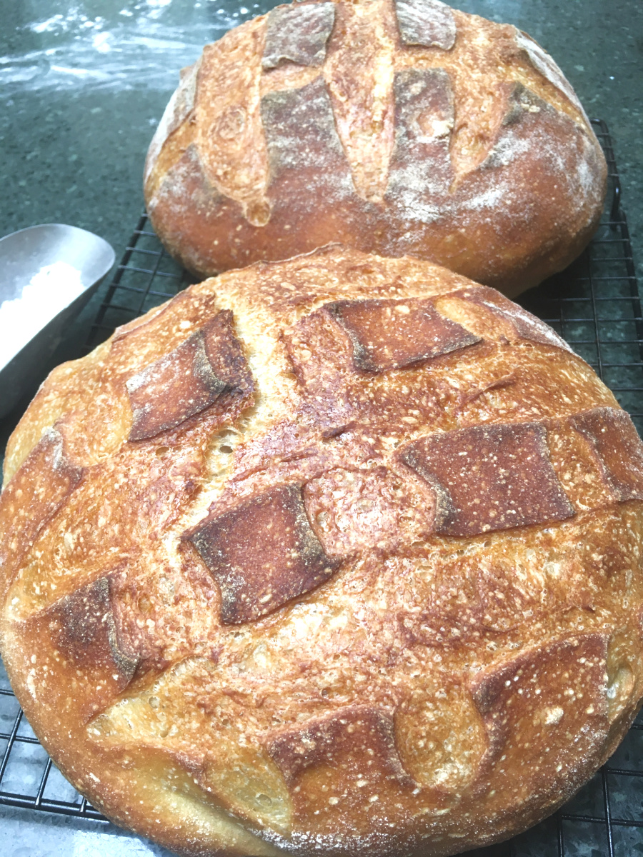 Fresh baked artisan bread from Marydee Sklar