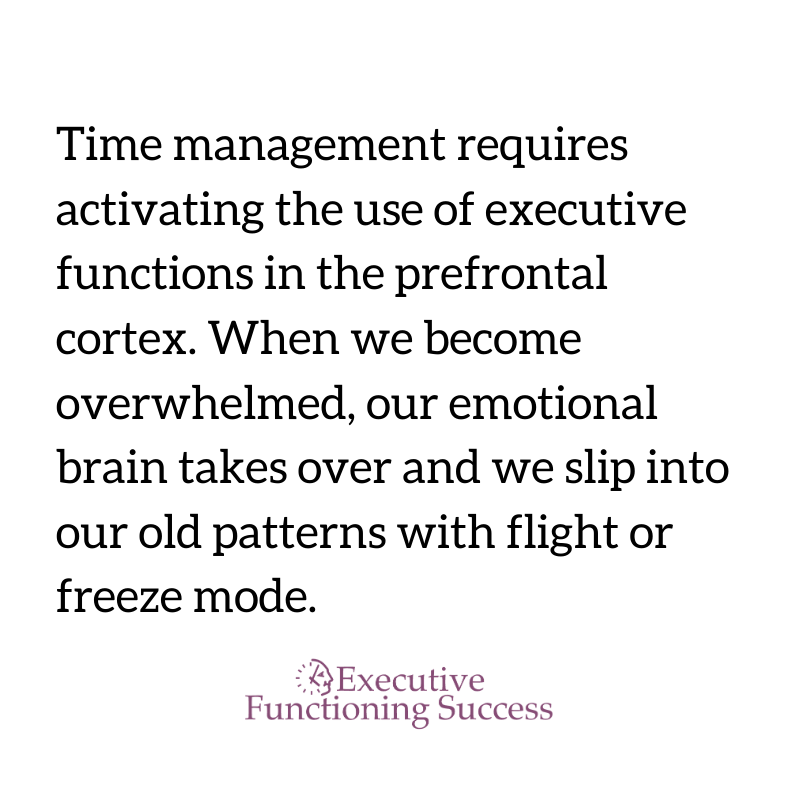Time management and fight, flight or freeze mode