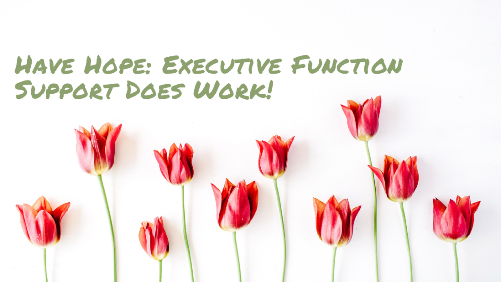 Have Hope: Executive Function Support Does Work