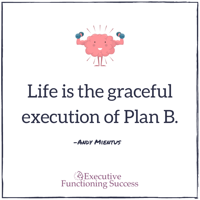 Life is the Graceful Execution of Plan B