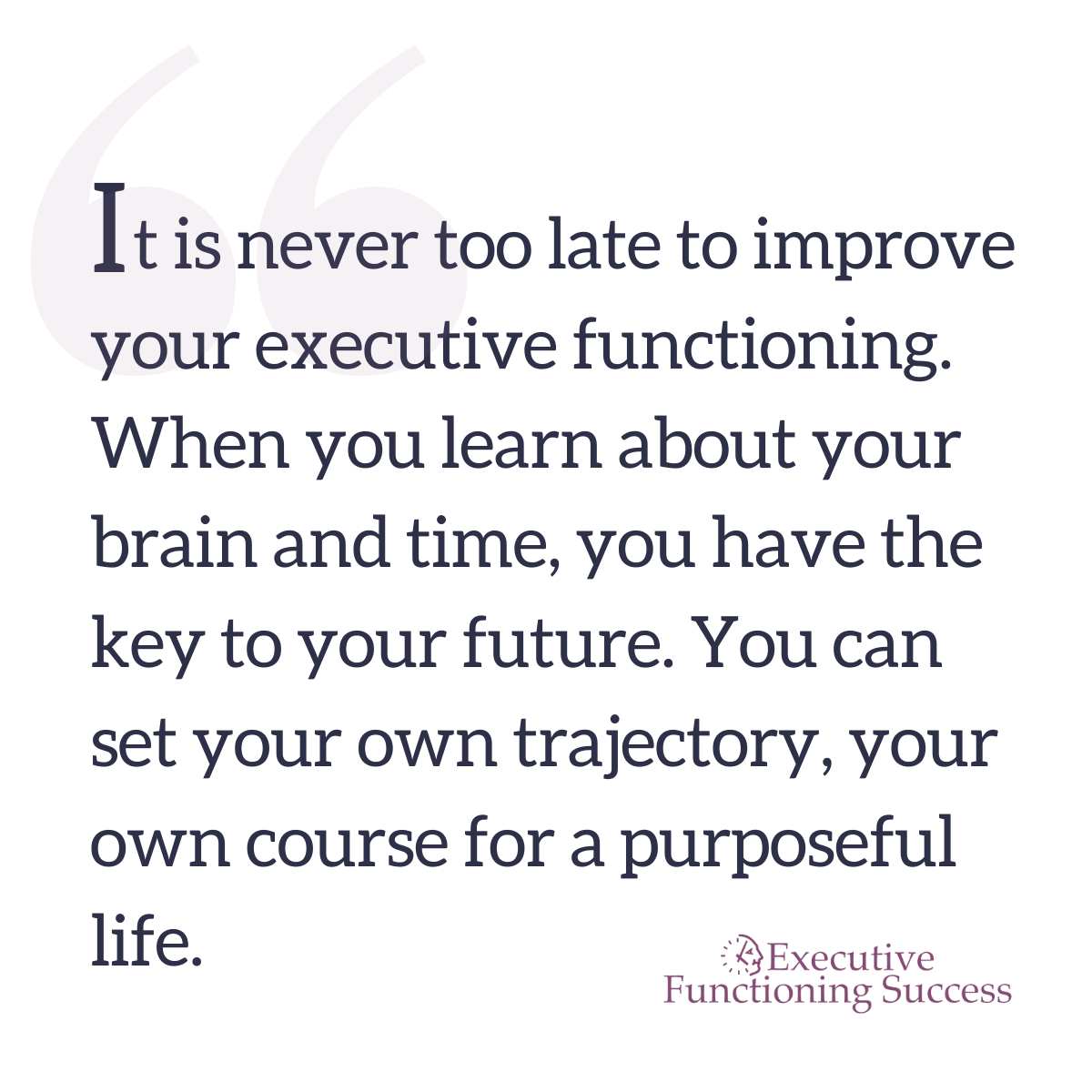 Executive Function Quote