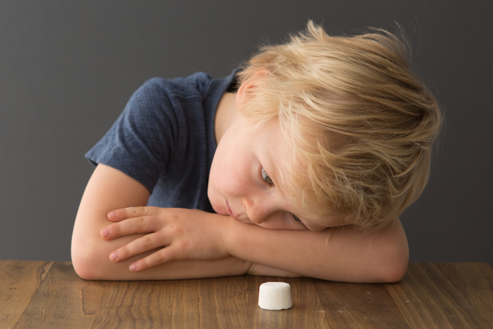 Boy staring longingly at a Marshmallow, representing self-control