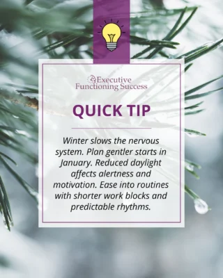 Yes! This season, remember to take care of yourself. Treat this winter as a period of rest and rejuvenation. Hunker down. Animals do it, and we should too!