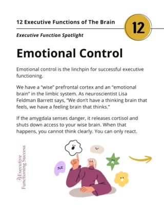 We made it! The final post in this series highlights the linchpin of executive functioning: Emotional Control.?
?
To understand it, picture two parts of the brain. The “wise” prefrontal cortex, where planning and problem-solving live. And the limbic system, home of the emotional brain.?
?
As neuroscientist Lisa Feldman Barrett says, “We don’t have a thinking brain that feels, we have a feeling brain that thinks.”?
?
All information passes through the emotional brain first. If the amygdala senses danger, it releases cortisol and limits access to your wise brain. In that moment, you cannot think clearly. You react.?
?
When the amygdala is activated, executive functioning drops. You lose motivation. You feel overwhelmed.?
?
Emotional control means learning to interrupt that cycle.?
?
Notice your early warning signs. Pause. Take a slow breath. Feel your feet grounded. Roll your shoulders back and breathe again.?
?
Within a minute or two, heart rate settles and access to your prefrontal cortex begins to return. That small space between feeling and reacting is where choice lives. ??
?
Read more on the blog, 12 Executive Functions of the Brain Spotlight #12: Emotional Control. Linked below.